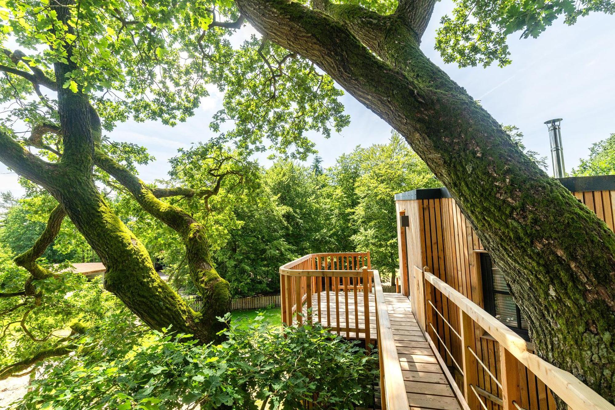 Heide Ferien - Hof Bockelmann Apartment Биспинген Стая снимка